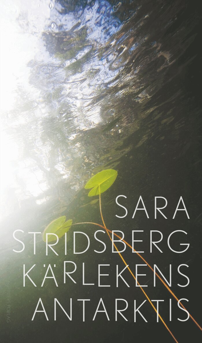 Sara Stridsberg - Kärlekens Antarktis, E-bok