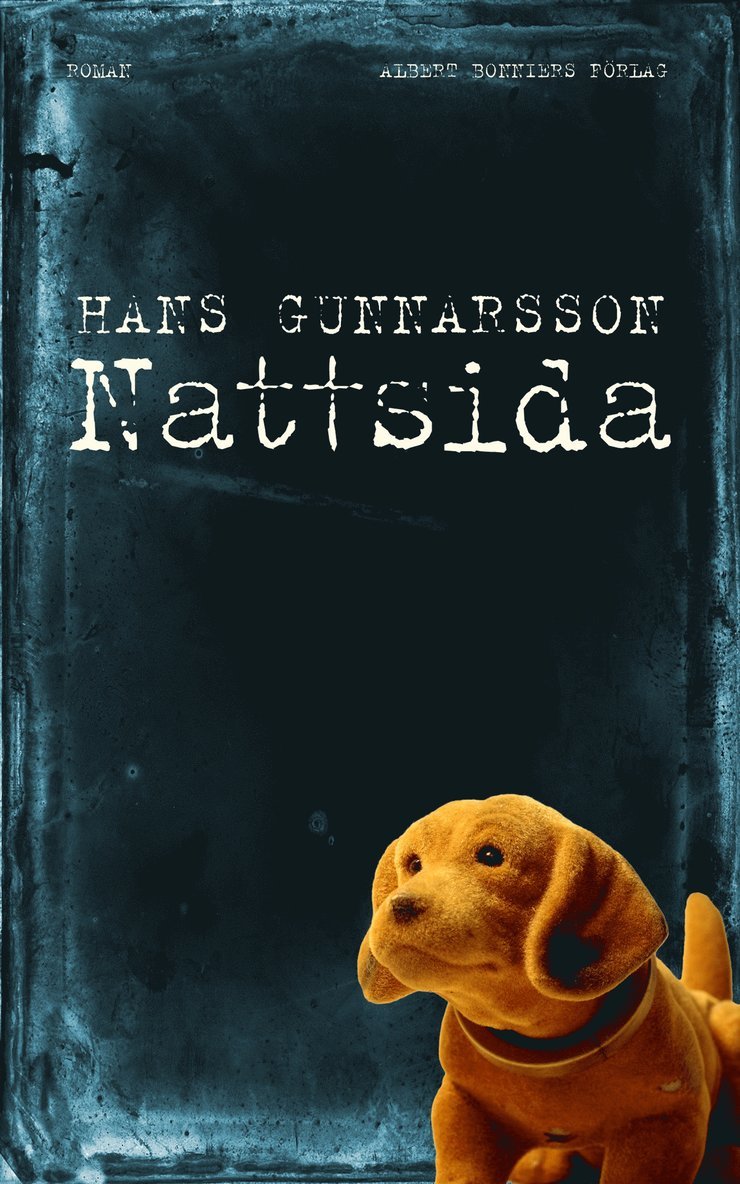 Hans Gunnarsson - Nattsida : Roman, E-bok