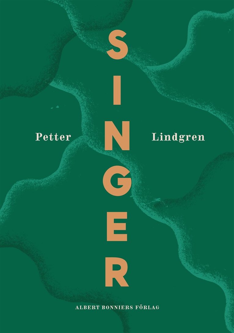 Petter Lindgren - Singer, E-bok