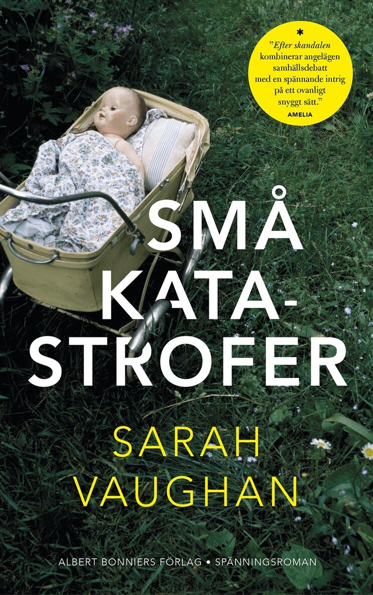Sarah Vaughan - Små katastrofer, E-bok