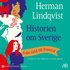 Historien om Sverige : från istid till framtid: så blev de första 14000 åren