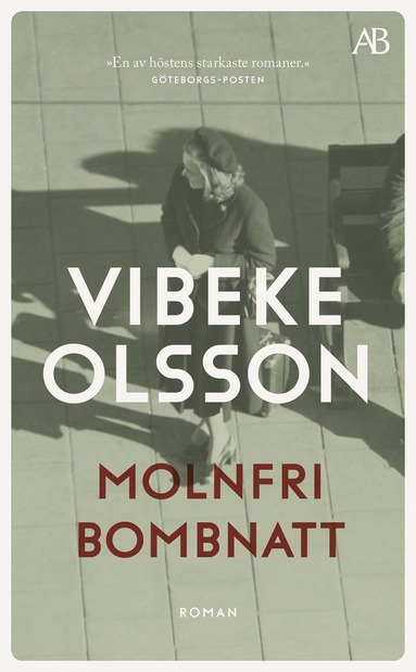 Vibeke Olsson Molnfri bombnatt