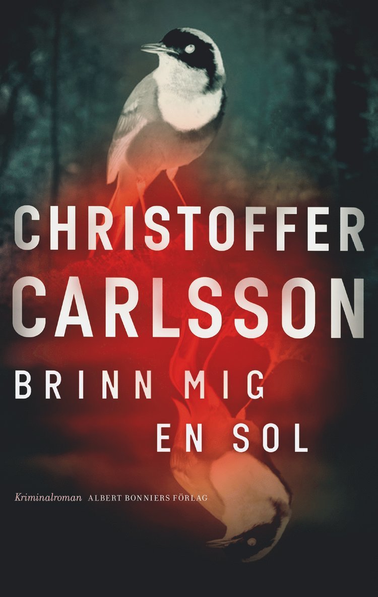 Christoffer Carlsson - Brinn mig en sol, E-bok