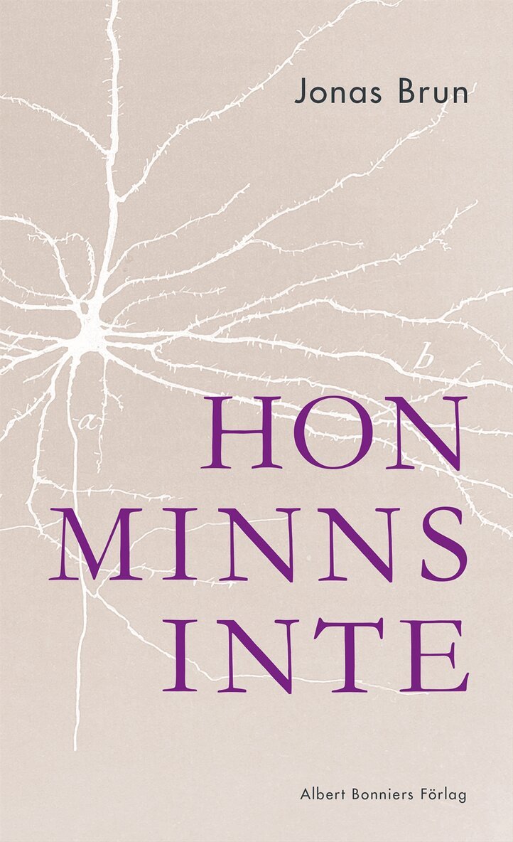 Jonas Brun - Hon minns inte, E-bok