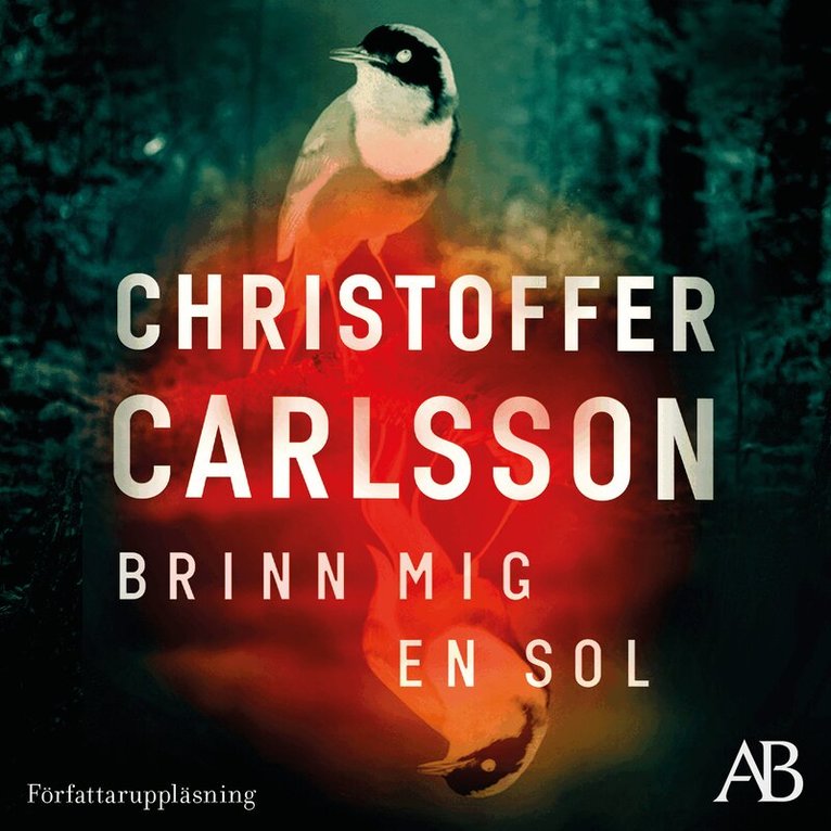 Christoffer Carlsson - Brinn mig en sol, Ljudbok