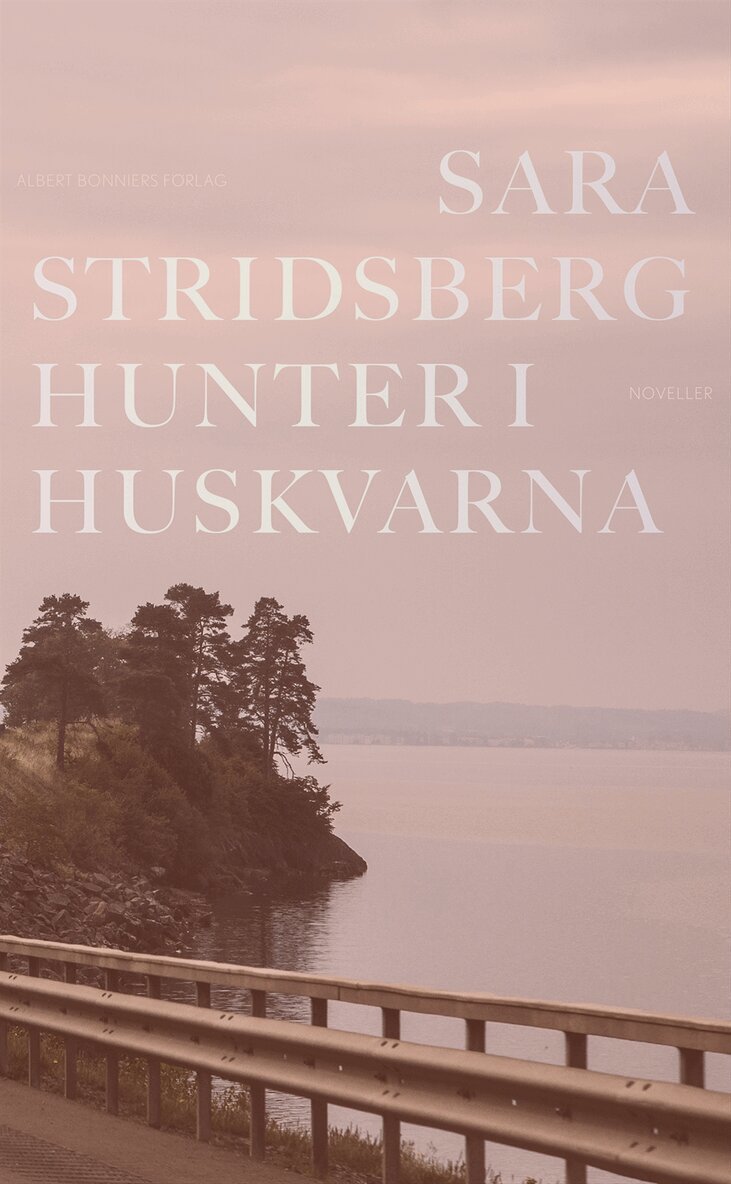 Sara Stridsberg - Hunter i Huskvarna, E-bok