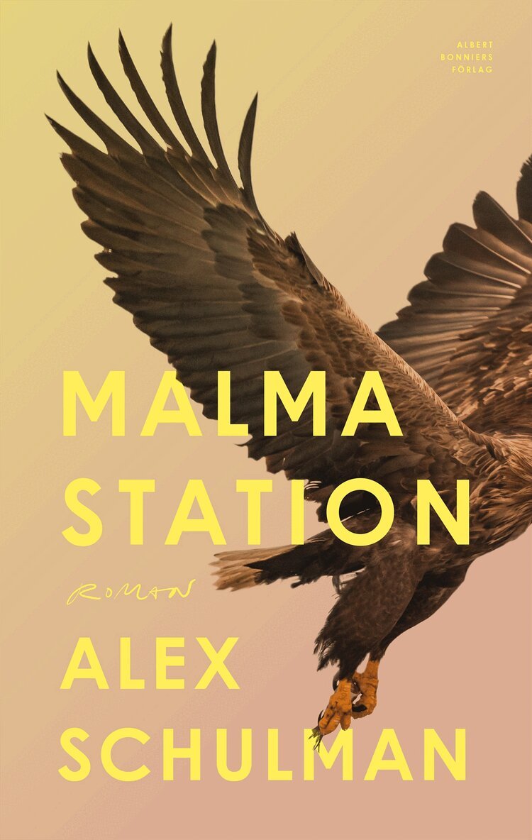 Alex Schulman - Malma station, E-bok
