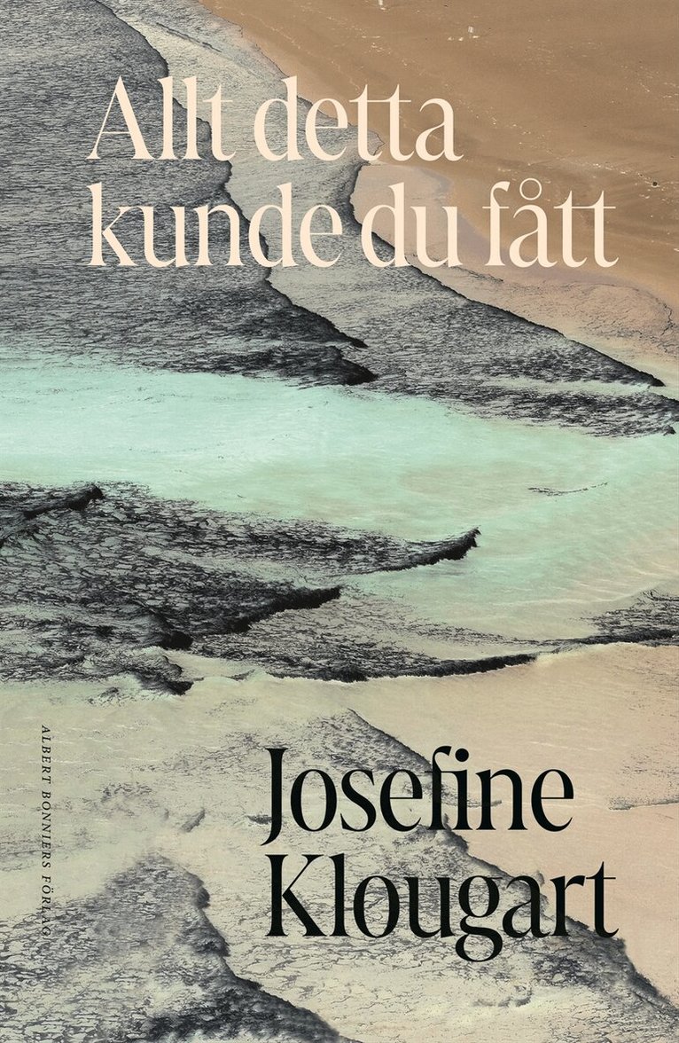 Josefine Klougart - Allt detta kunde du fått, E-bok