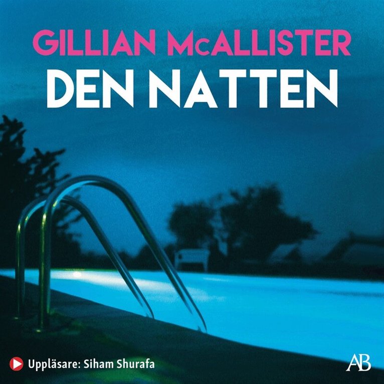 Gillian McAllister - Den natten, Ljudbok