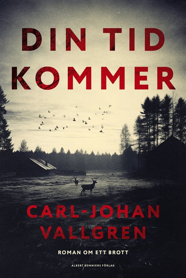 Carl-Johan Vallgren - Din tid kommer, E-bok
