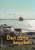Den rätta knycken : Astrid Lindgrens Vi på Saltkråkan