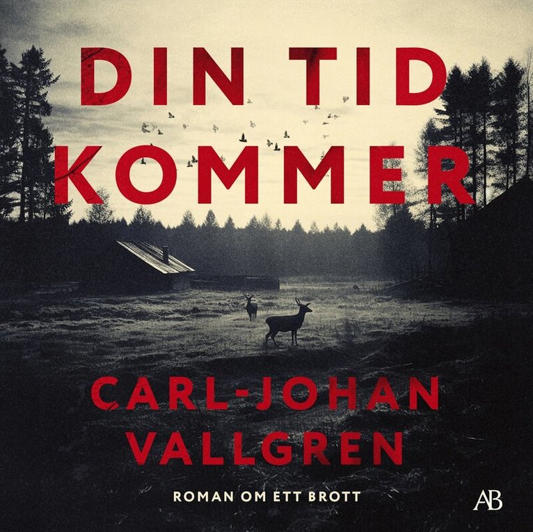 Carl-Johan Vallgren - Din tid kommer, Ljudbok