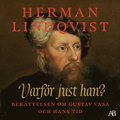 Varför just han? : berättelsen om Gustav Vasa och hans tid