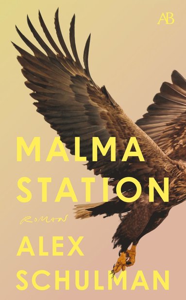 Alex Schulman Malma station