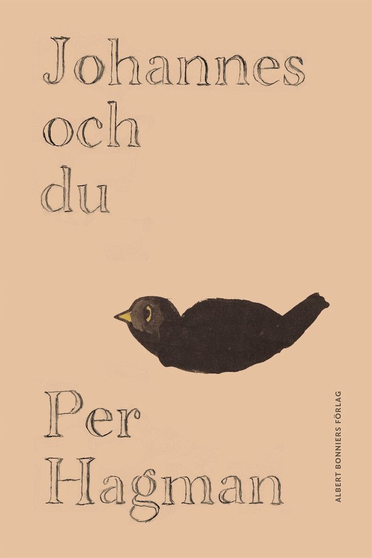 Per Hagman - Johannes och du, E-bok