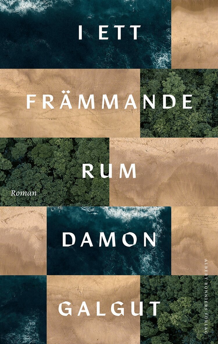 Damon Galgut - I ett främmande rum, E-bok