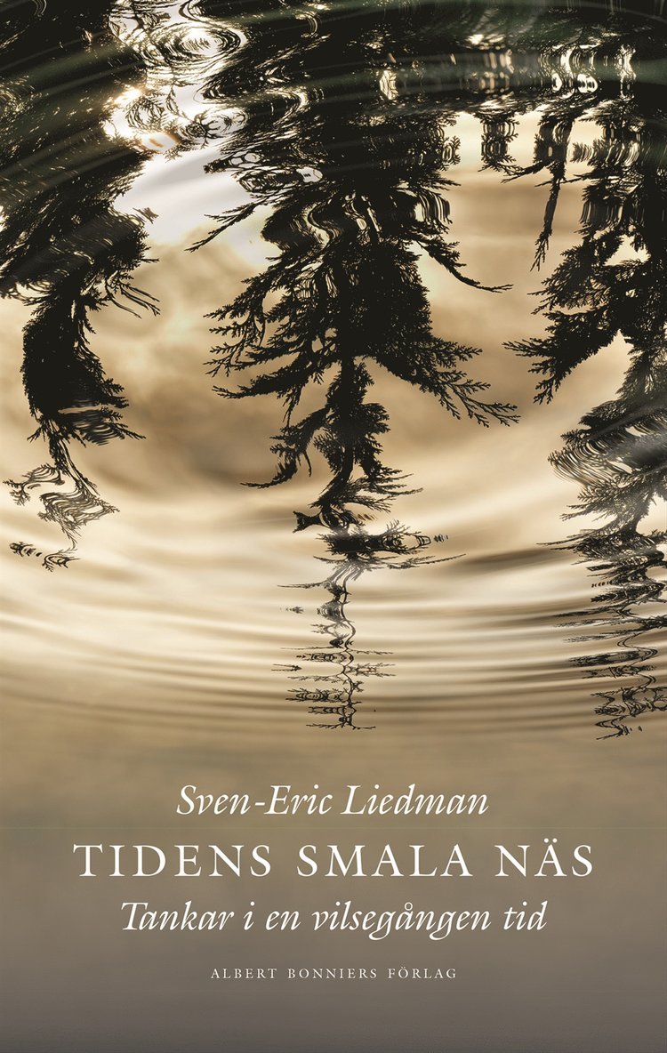 Sven-Eric Liedman - Tidens smala näs : Tankar i en vilsegången tid, E-bok