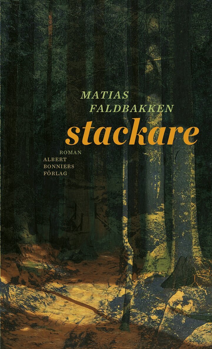 Matias Faldbakken - Stackare, E-bok