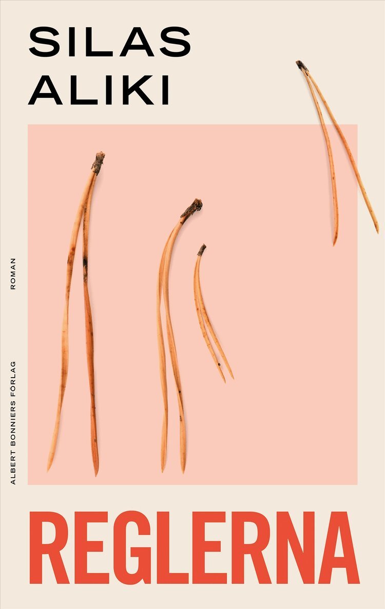 Silas Aliki - Reglerna, E-bok