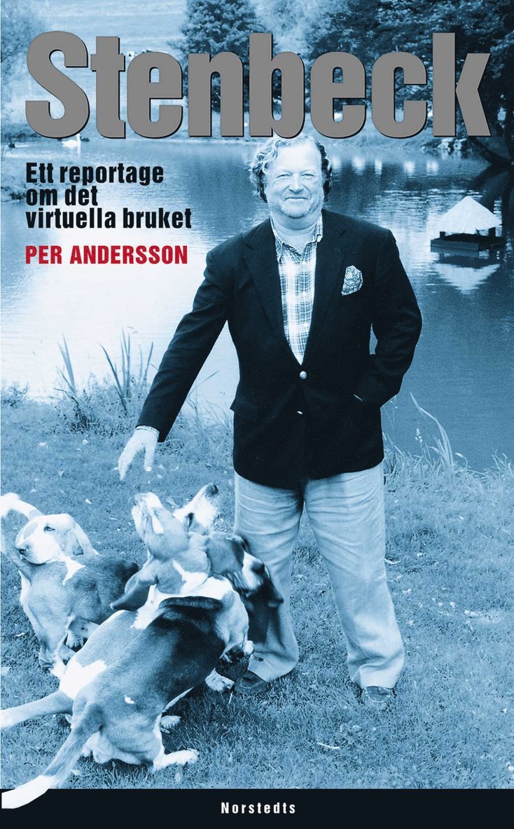 Per Andersson - Stenbeck : ett reportage om det virtuella bruket, Inbunden