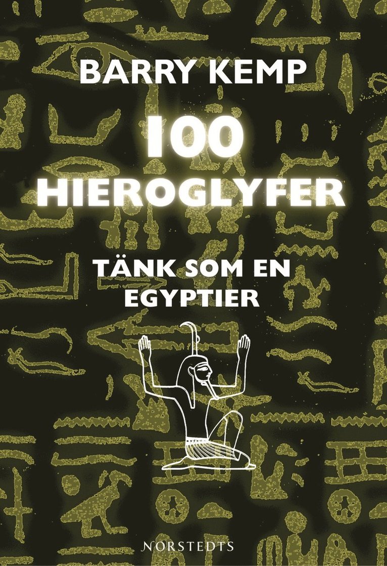 Barry Kemp - 100 hieroglyfer :tänk som en egyptier, Inbunden