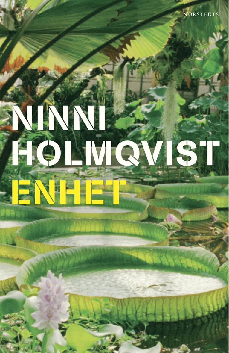 Ninni Holmqvist - Enhet, E-bok