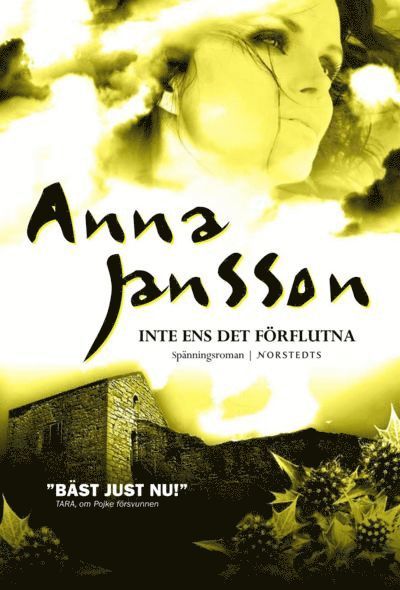 Anna Jansson - Inte ens det förflutna, E-bok