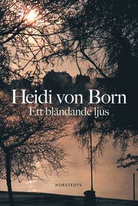 e-Bok Ett bländande ljus <br />                        E bok