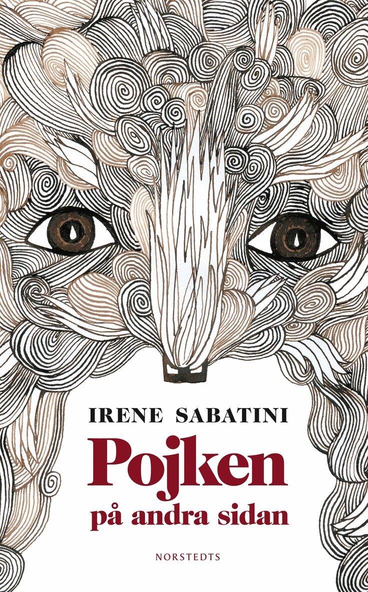 Irene Sabatini - Pojken på andra sidan, Inbunden