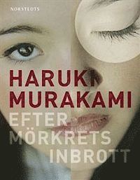 Haruki Murakami - Efter mörkrets inbrott, Inbunden