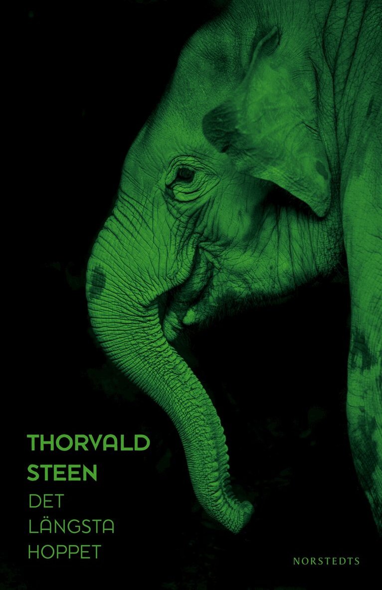Thorvald Steen - Det längsta hoppet, Inbunden