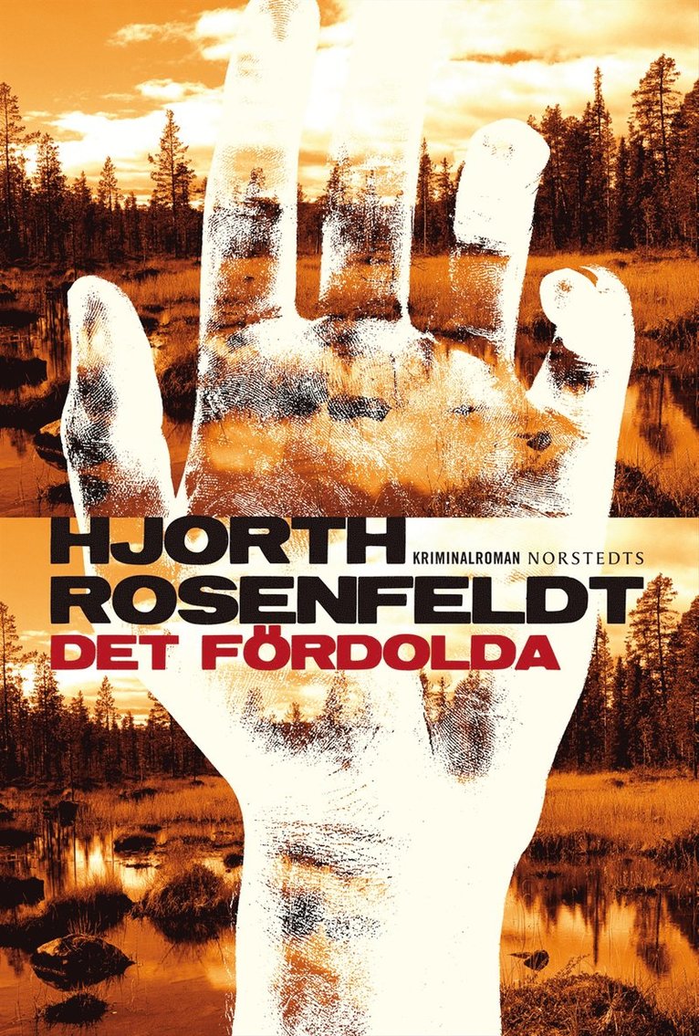 Michael Hjorth, Hans Rosenfeldt - Det fördolda, E-bok
