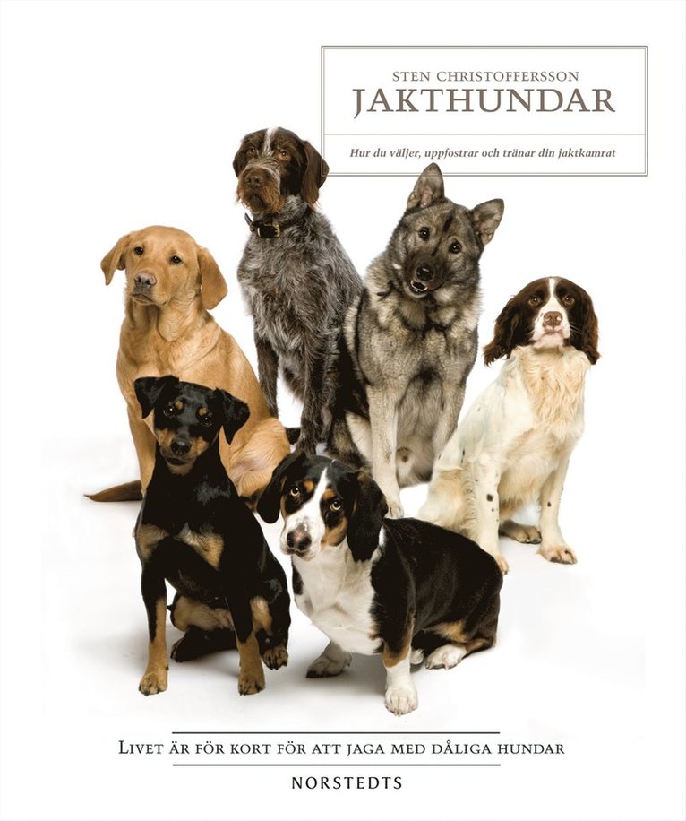 Sten Christoffersson - Jakthundar : hur du väljer, uppfostrar och tränar din jaktkamrat, Inbunden