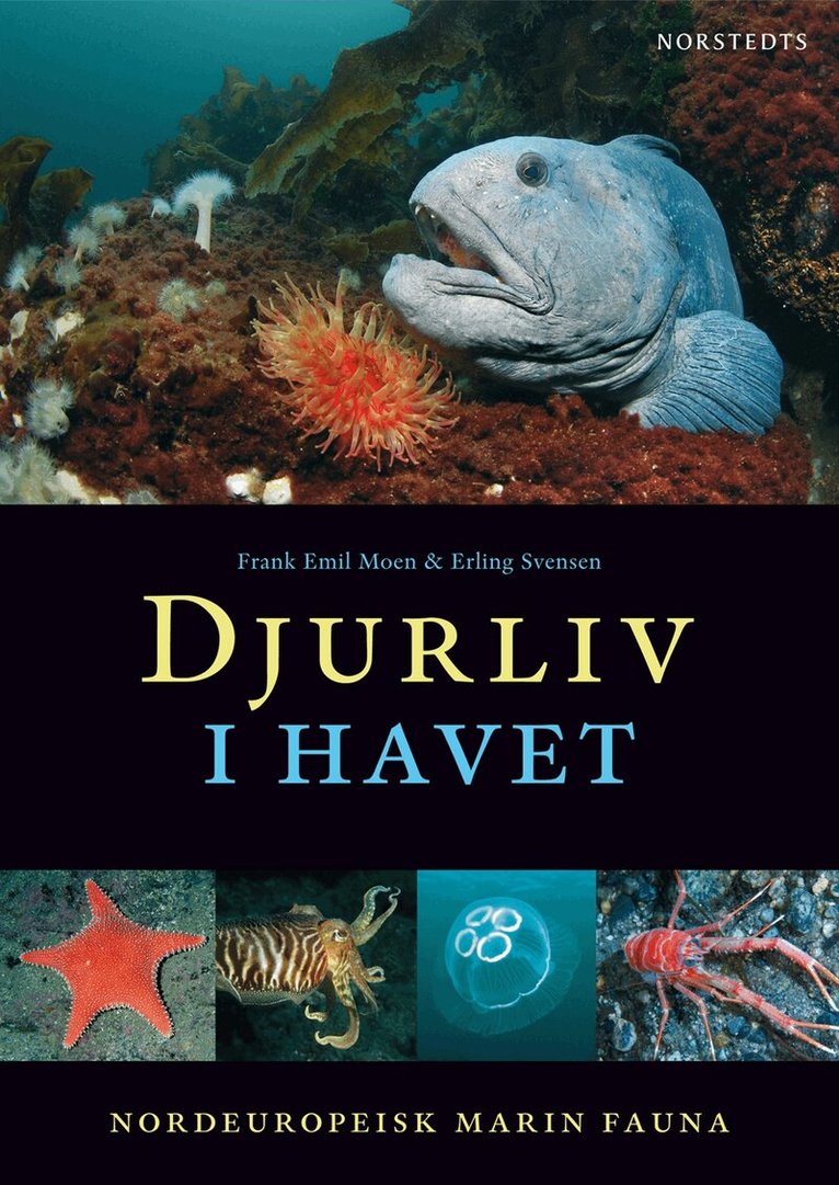 Frank Emil Moen - Djurliv i havet  : nordeuropeisk marin fauna, Kartonnage