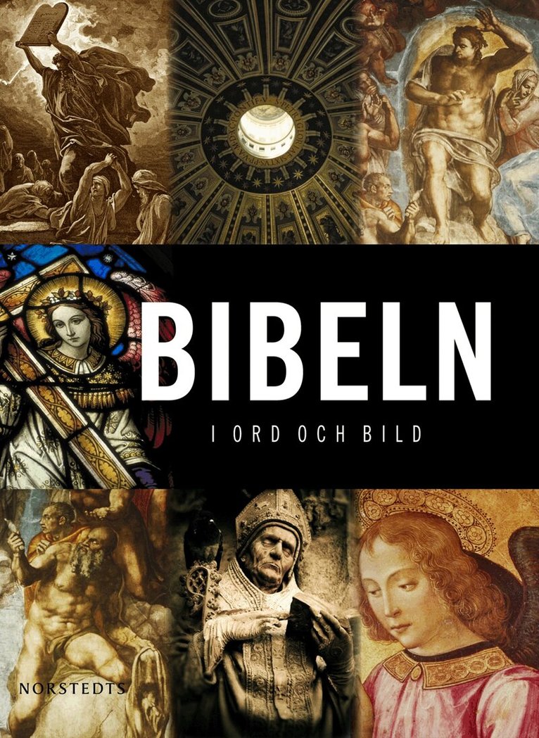 Christian Cebulj - Bibeln : i ord och bild, Inbunden