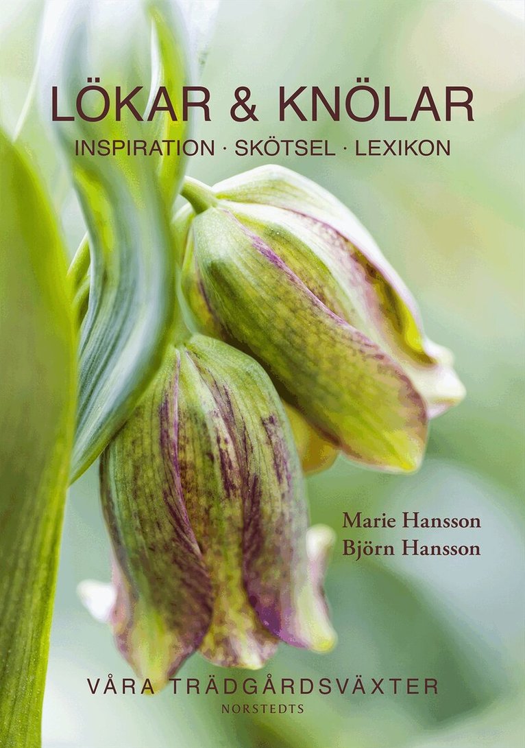 Marie Hansson, Björn Hansson - Lökar & knölar, Inbunden