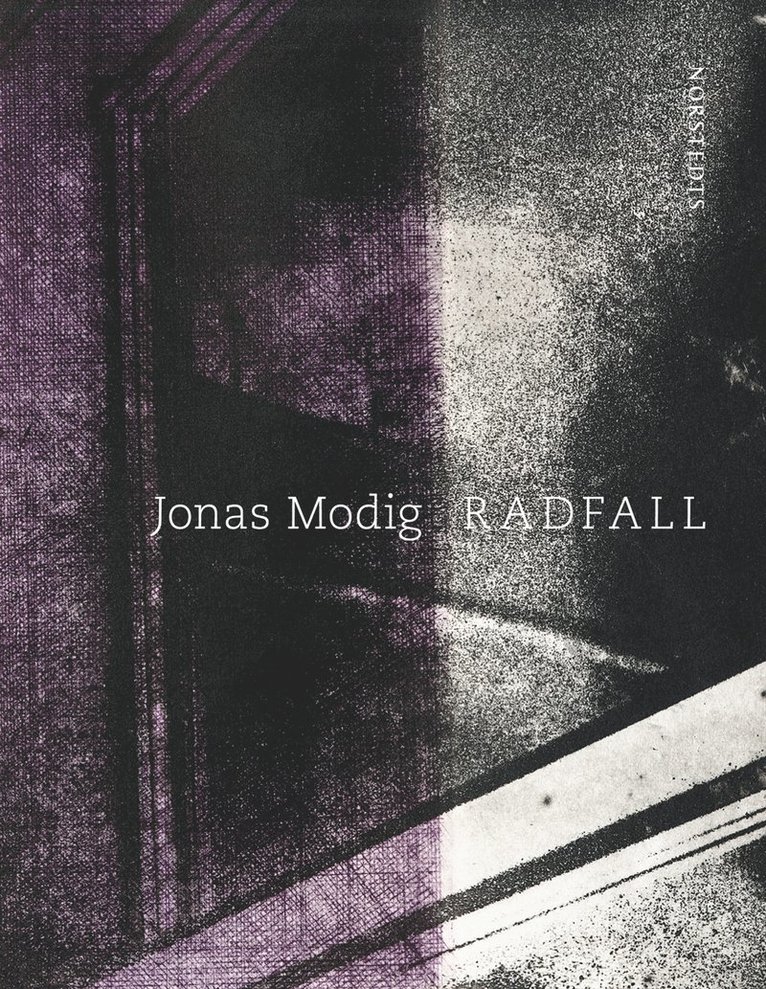 Jonas Modig - Radfall, E-bok
