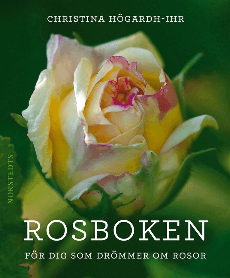 Christina Högardh-Ihr - Rosboken : för dig som drömmer om rosor, Häftad