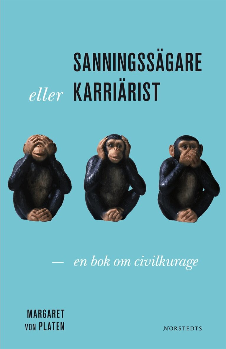 Margaret von Platen - Sanningssägare eller karriärist?: en bok om civilkurage, Häftad
