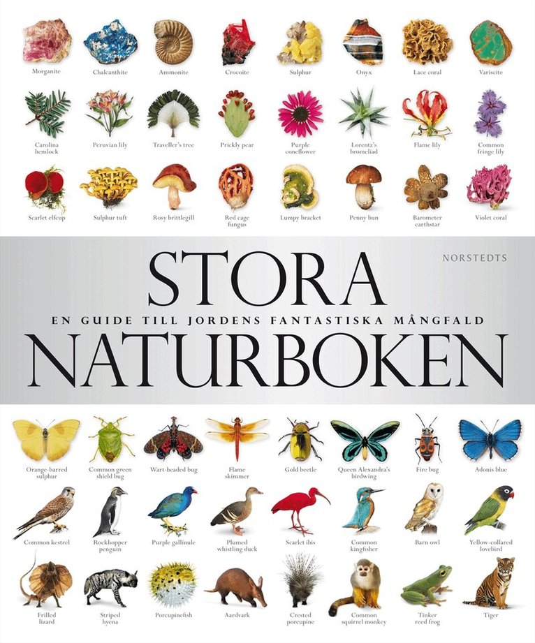 Stora naturboken : en guide till jordens fantastiska mångfald, Inbunden