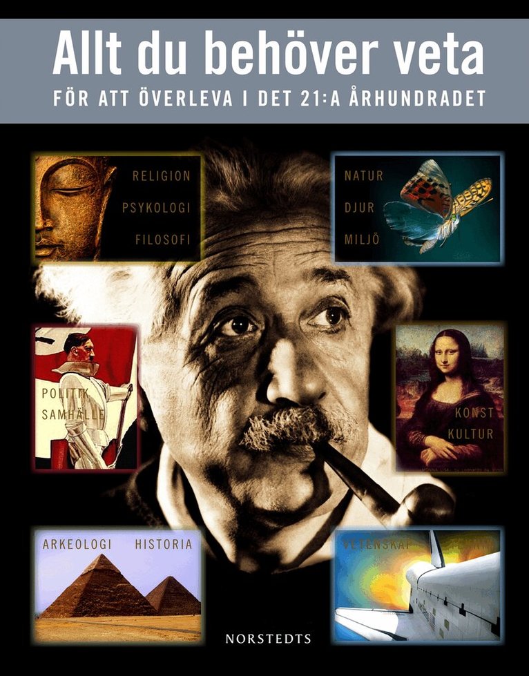 Allt du behöver veta för att överleva det 21:a århundradet, Inbunden