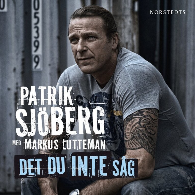 Patrik Sjöberg, Markus Lutteman - Det du inte såg, Ljudbok
