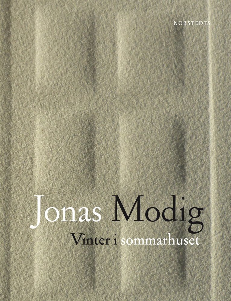 Jonas Modig - Vinter i sommarhuset, E-bok