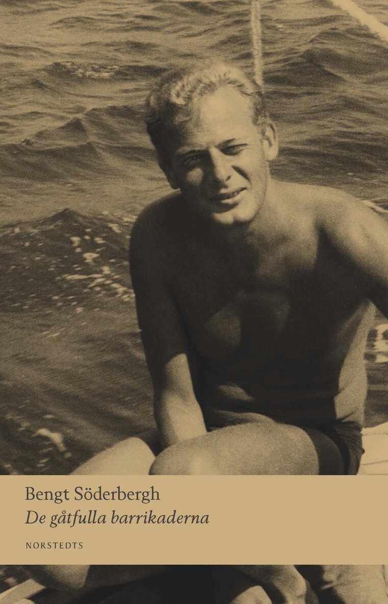 Bengt Söderbergh - De gåtfulla barrikaderna, E-bok