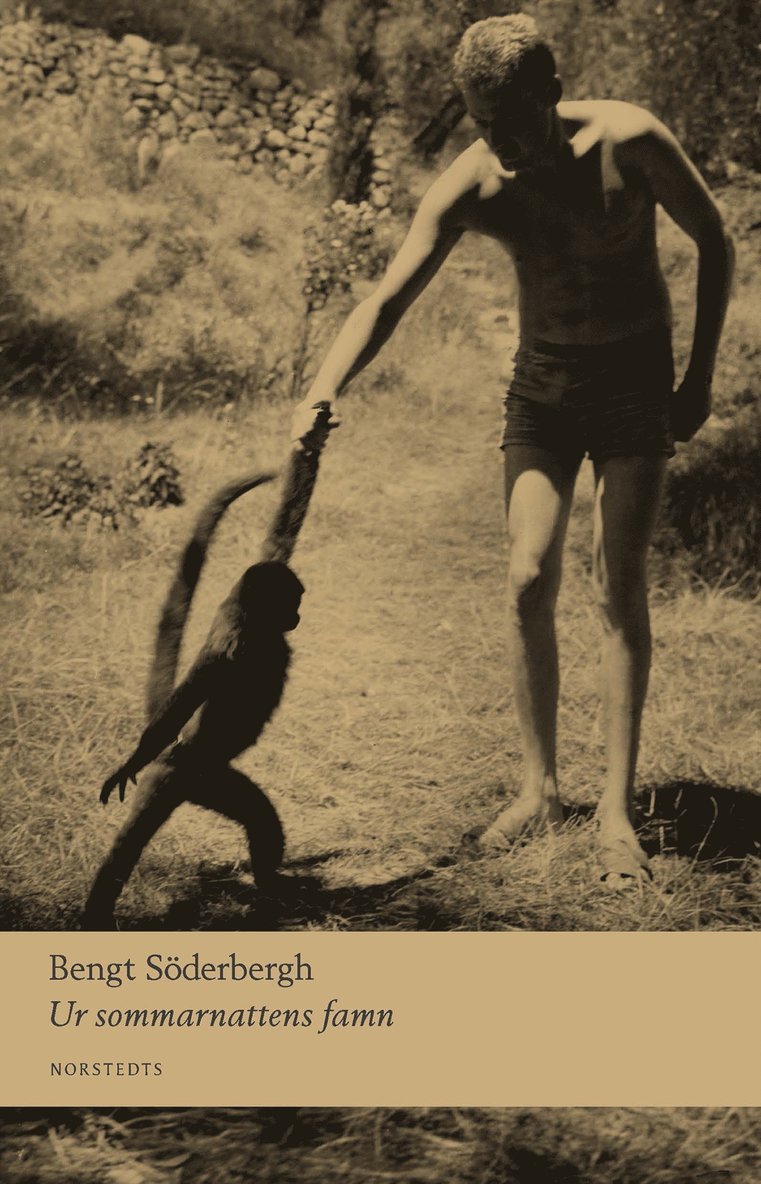 Bengt Söderbergh - Ur sommarnattens famn, E-bok