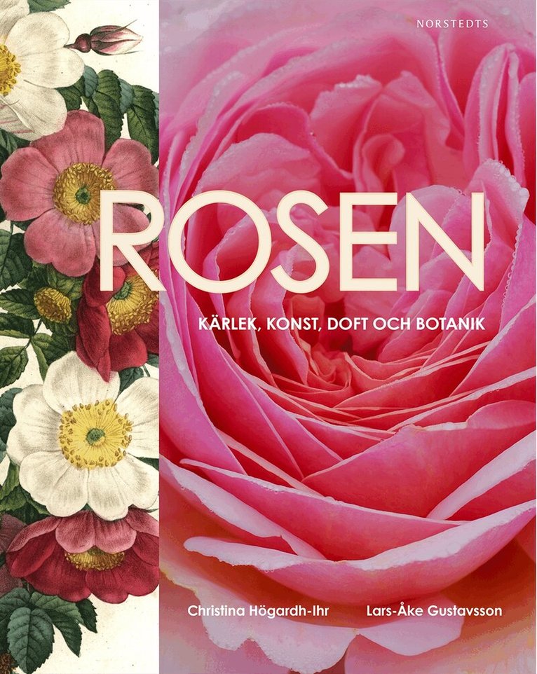 Christina Högardh-Ihr, Lars-Åke Gustavsson - Rosen : kärlek, konst, doft och botanik, Inbunden