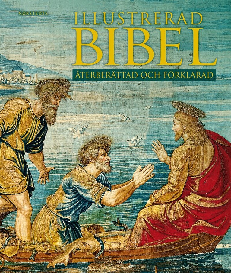 Illustrerad bibel : återberättad och förklarad, Inbunden