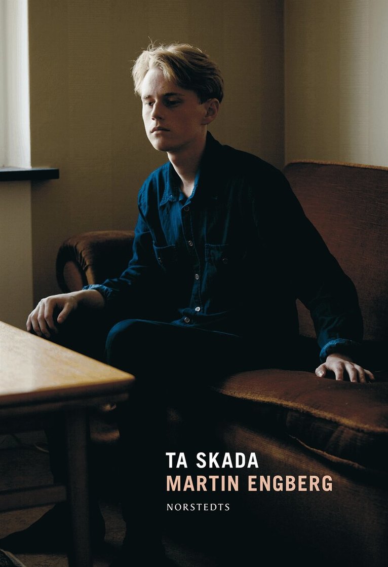 Martin Engberg - Ta skada, E-bok