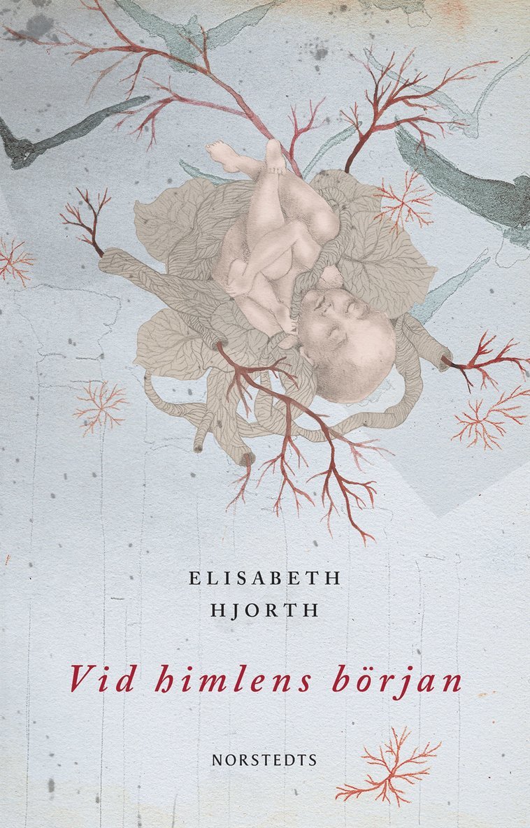 Elisabeth Hjorth - Vid himlens början, E-bok