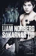 Sökarnas tid : örnligan, nollpunkten, vägen ut